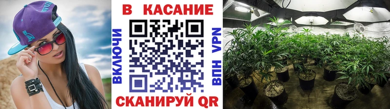 Купить закладку Лобня Галлюциногенные грибы  ГАШ  АМФЕТАМИН  Марихуана  APVP  КОКАИН 