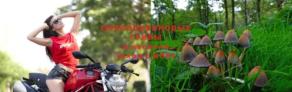 герыч Арсеньев