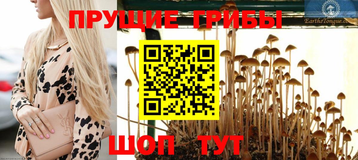 Псилоцибиновые грибы MAGIC MUSHROOMS Лобня